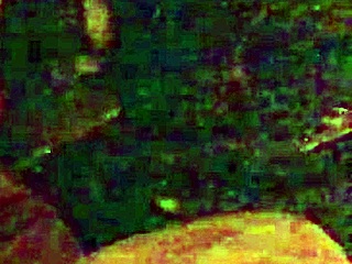 Woke up horny, craving wild redhead blowjob and rimjob action