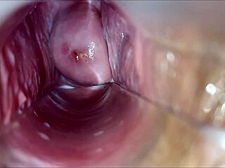 Orgasmo vaginal captured in stunning close-up detail for your eyes