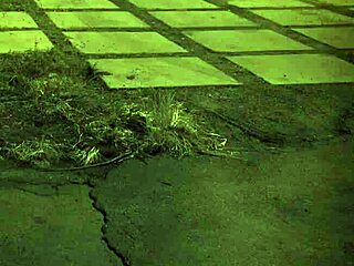 Outdoor Orgy with Amazon Domination First Time Shocks!