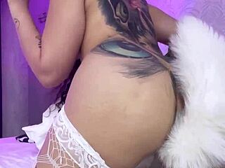 Naughty kitten with split tongue masturbates while testing new Svakom toy