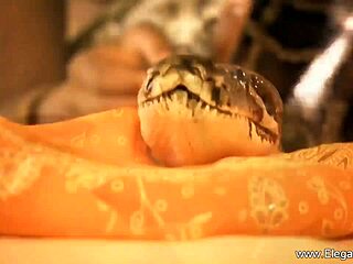 dancing in erotic style with my milf friend