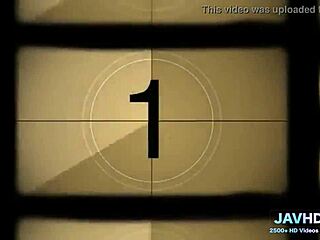 What’s Up with These Sexy Legs in Stockings Vol 81?