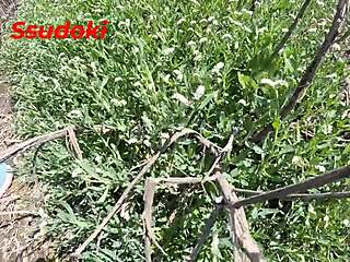 i’m banging hard in the middle of a public field for risky thrills