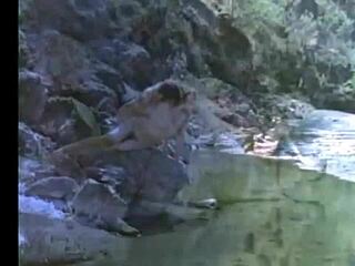 Hey, check out this steamy Indian village sex on a ranch, so raw! 🔥