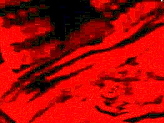 I spotted my bride fucking amateurs at our homemade wedding. It was wild and intense.