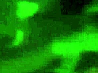 clothes ripped off for a holiday blowjob in front of the mirror