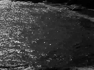 Vintage Erotic Drawings That SCREAM Raw Desire!