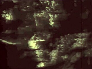 Ever seen a vintage pussy paired with a retro pooch outdoors?