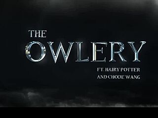 Chode Wang and the Owlery at Gobbywarts - Kinky Teen 18+ Bondage Fantasy