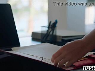 Best friends get double fucked with big black cocks at spring break in miami