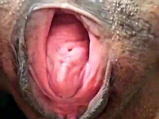 brenda floripa showing off with clothes ripped in solo play