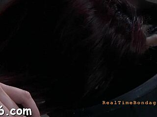 Hardcore Blowjob Action in Raw Intensity