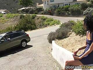 Can you believe a stranger bangs skinny ebony Jada Doll hard?!