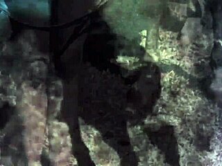 Dark lantern entertainment presents vintage retro shows with natural beauty