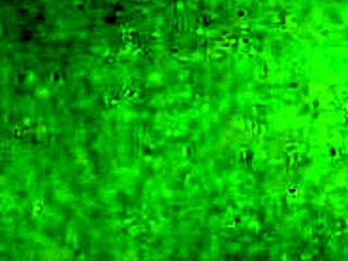 Intense Doggy Style Fuck With Big Booty Sex Doll SY 157cm Against The Wall