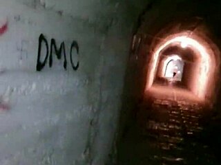 Stepmom teases in public with hairy pussy before hot blowjob.