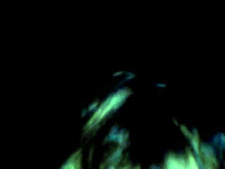 white woman eagerly sucking that big black cock 😍