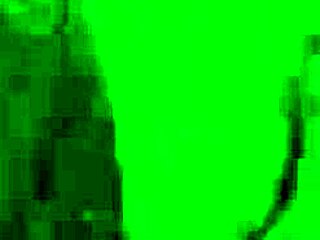 Scarlet Red and Black Eden enjoy outdoor lesbian sex with assplay