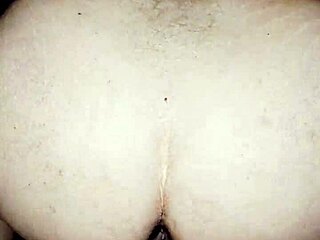 bbw craves doggystyle and begs chubby guy for rough anal