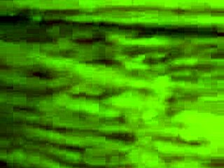 Licking Dirty Feet in Fetish Play