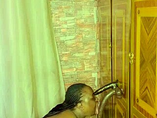 sundaydogood614 shares homemade update 963 on april 12 2025