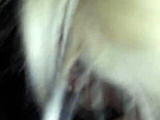 white slut feels intense pleasure sucking black cock