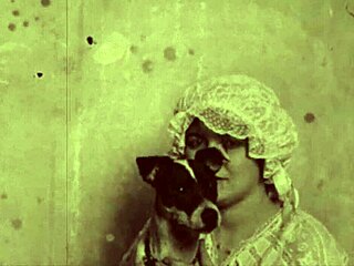 dark lantern presents beauty and the beast