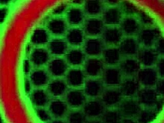 Sara Jay's Steamy Phone Sex Session