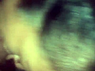 Just dropped my 1st VIDEO getting SUCKED by an escort, wild stuff!