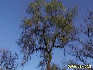 in my african sex safari, i learned about big cocks and ebony orgies