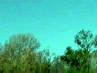 in my african sex safari, i learned about big cocks and ebony orgies