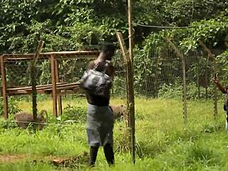 i felt so pleasured during that park quickie with his huge cock