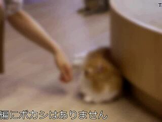 Amateur tall model Kaori, 22, shows off stunning body