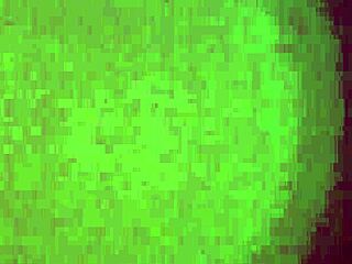 yo, diamond gets all wet and wild playing in the shower