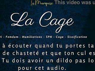 La Cage, umm, caged anal joi... so wild!