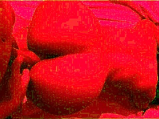 Fodendo Uma Gostosa Morena Da Raba Grande Conheci Na Praia In Intriguing POV Action