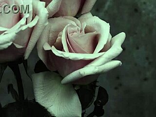 My Chemical Romance performs 'I Don't Love You' with Spanish subtitles.