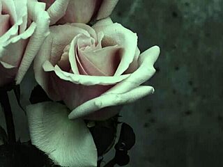 My Chemical Romance performs 'I Don't Love You' with Spanish subtitles.