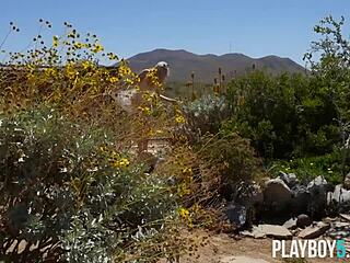 Tiny Blonde Teen Playboy Model Exposes Petite Body Outdoor With Excitement