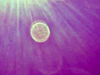 Married woman 38 YEARS OLD SLENDER FIGURE EXCITING CAR SEX