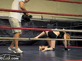 कैटफाइट