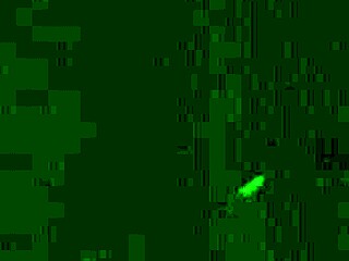 The hoodrat eagerly sucks a big black cock in the hood