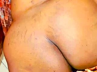 Sundaydogood614 Update 384 August 08 2024