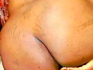 Sundaydogood614 Update 384 August 08 2024