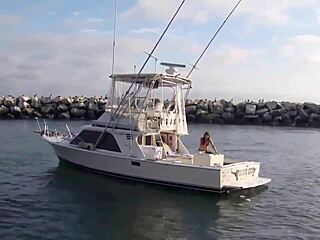 Super Shark Sexy Bikini Girl