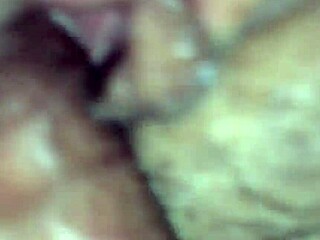 Amateur Video Part One Compilation