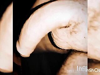 vancouver love story unfolds