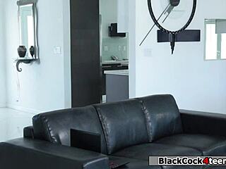 Brunette Deepthroats Stepsis's Black Boyfriend with Big Cock