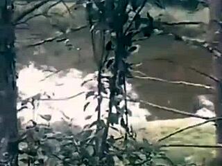 outdoor sex with stranger 😏