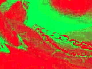 Slutty whore fulfills dream. She cums in the gym with Caroleta Roots 😈